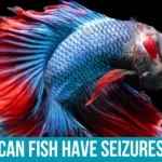 Causes of Seizures in Fish
