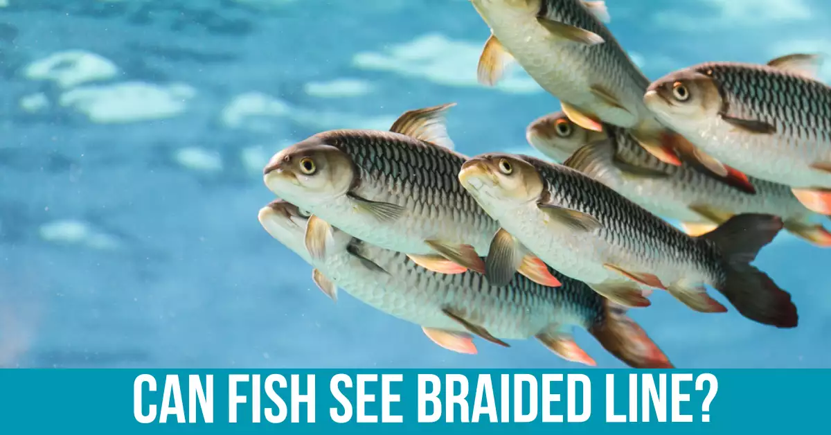 Tips for Reducing Braided Line Visibility