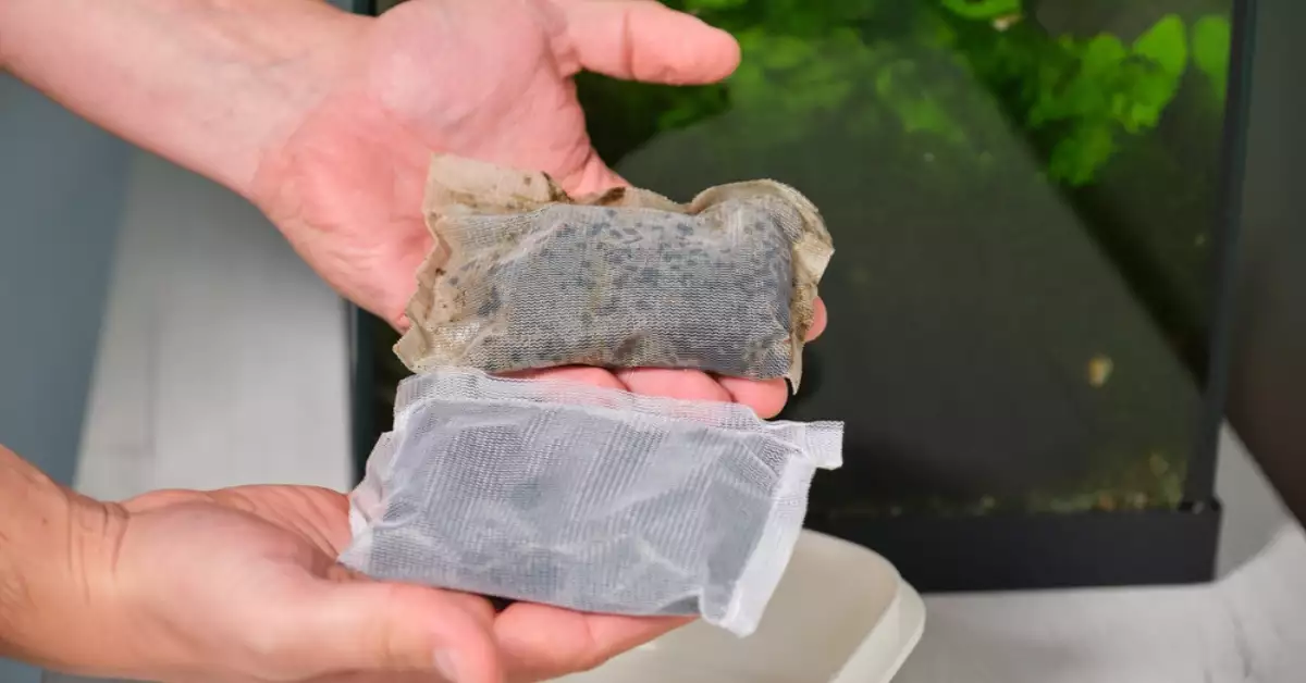 Can You Reuse Fish Tank Filter Cartridges